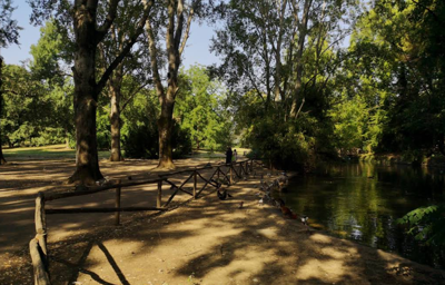 Park